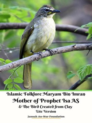 cover image of Islamic Folklore Maryam Bin Imran Mother of Prophet Isa AS and the Bird Created from Clay Lite Version